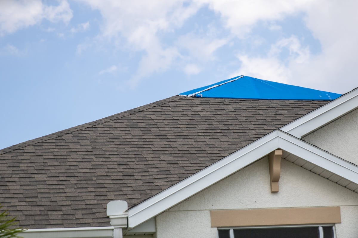 Blue protective tarp secured over a storm-damaged shingle roof on a Florida home
