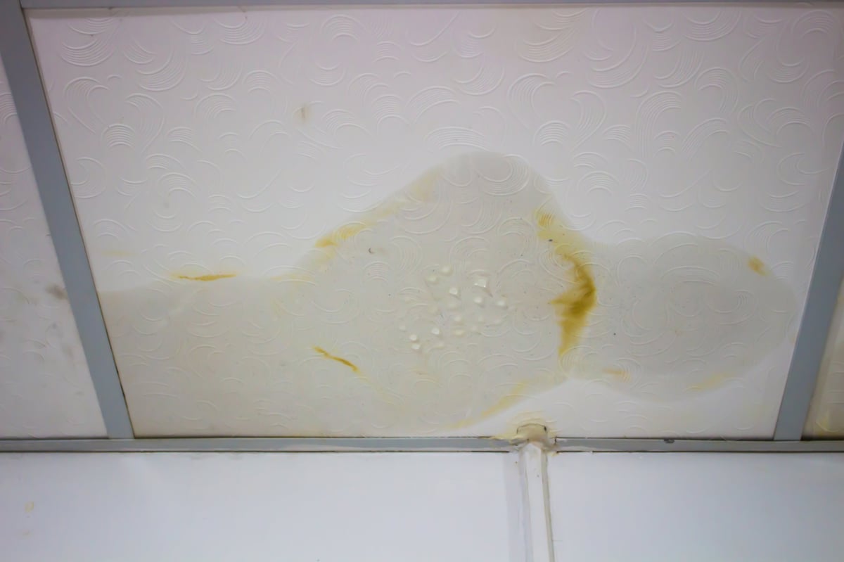 Ceiling water stain from a roof leak