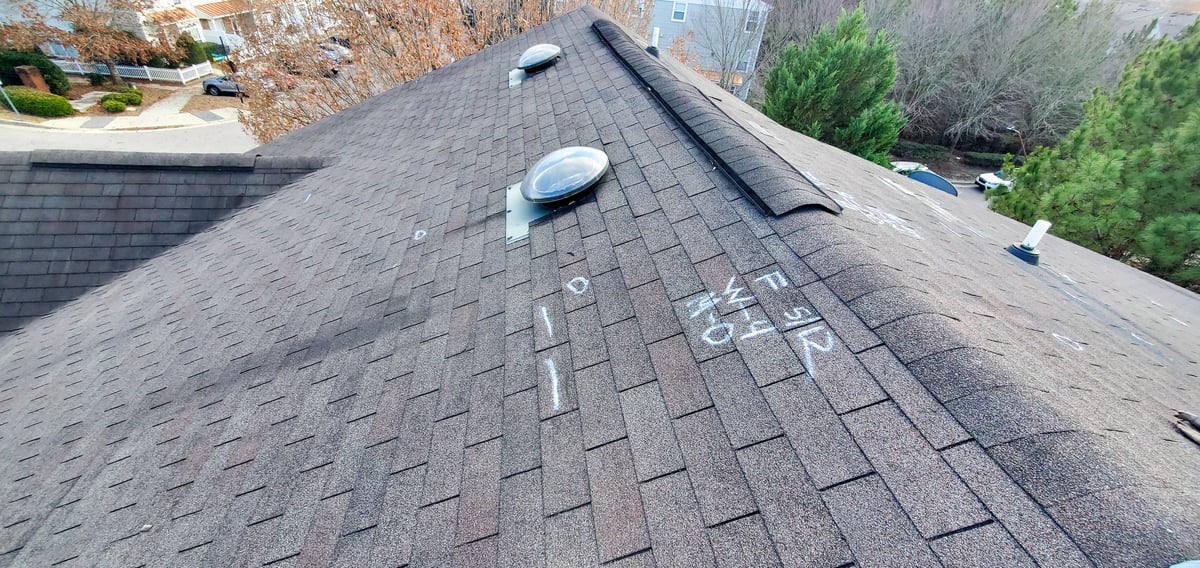Close-up documentation of hail damage and granule loss on asphalt shingles